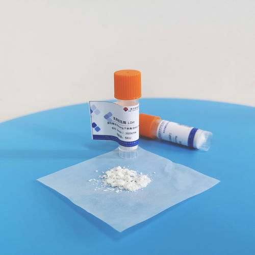 Latest company news about グリセロールキナーゼ活性は不活性化されやすいですか？これらの詳細を見逃さないでください！