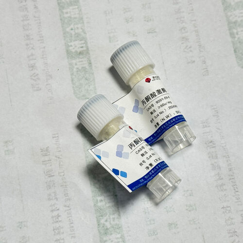 Latest company news about 守護酵素の活性:効率的なバイオカタリティクスパスワードをロックする